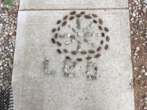 MicrosoftTeams-image (10)