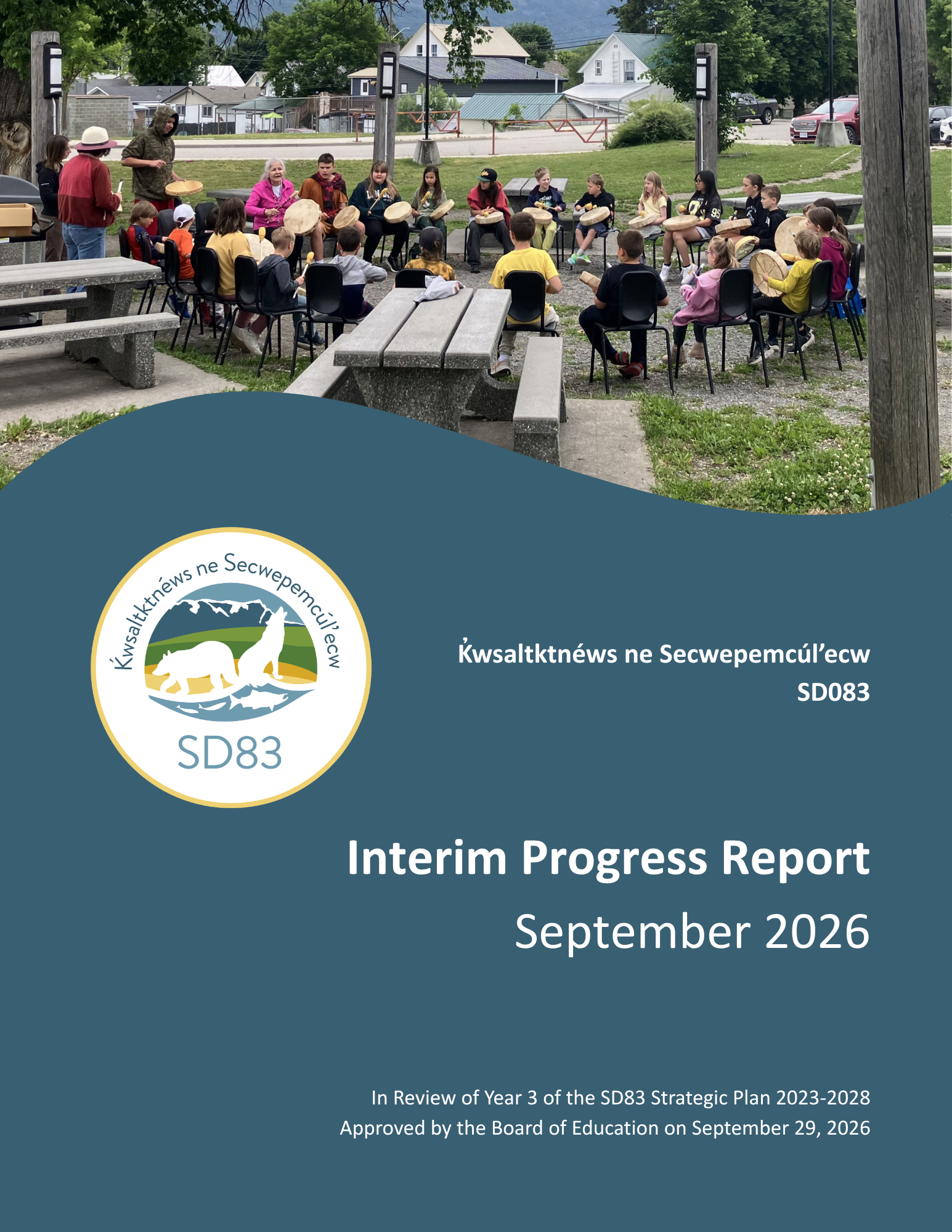 Interim Progress Report